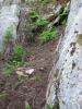 Jamcrack gully clearing